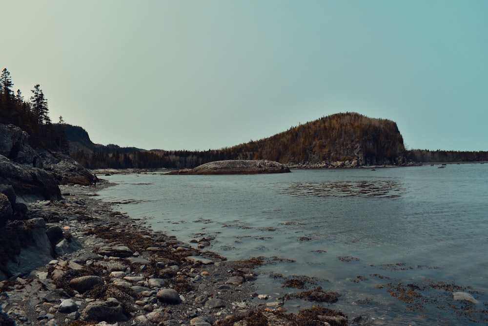 a body of water surrounded by trees and rocks