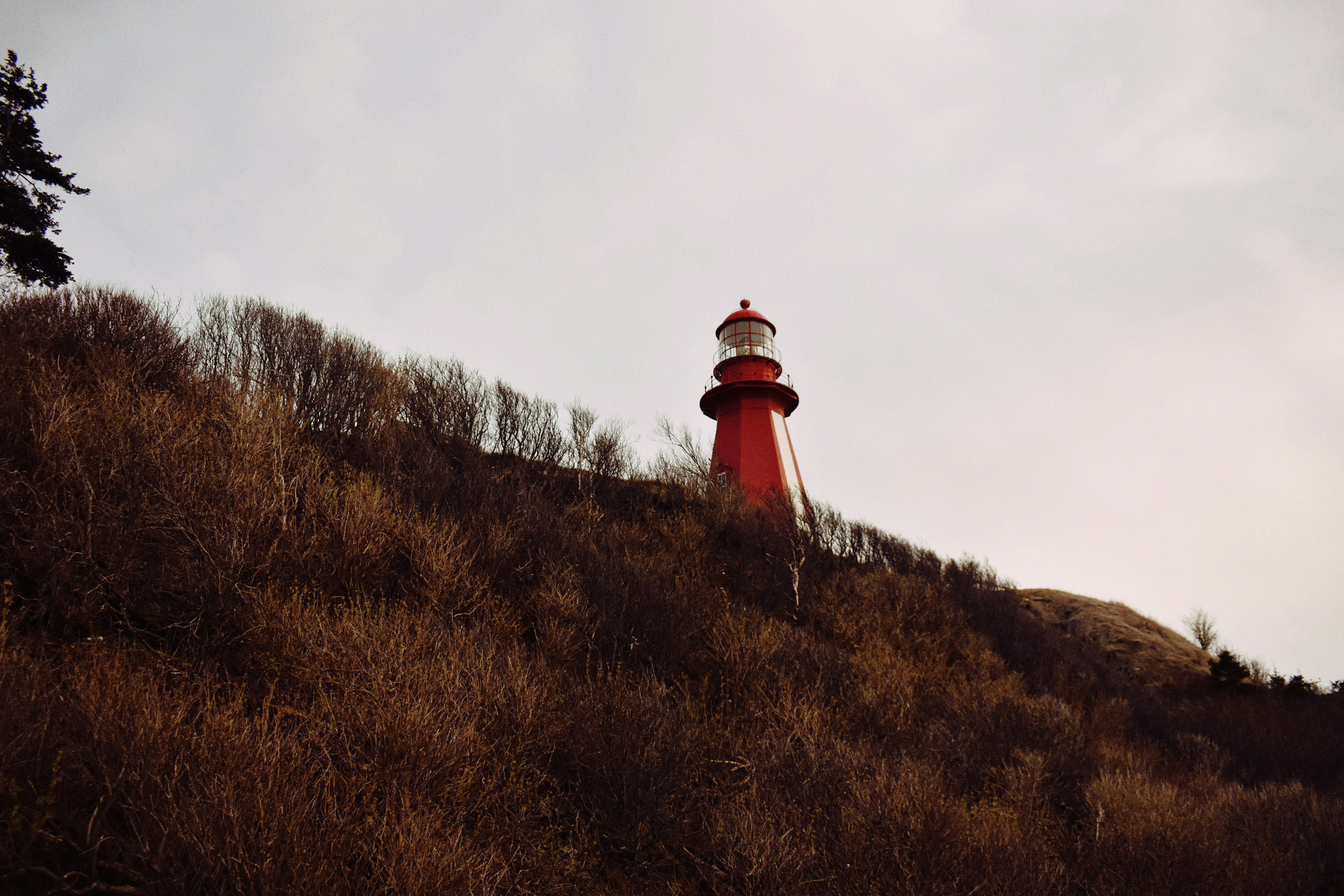 Photo by annnnnnnna8