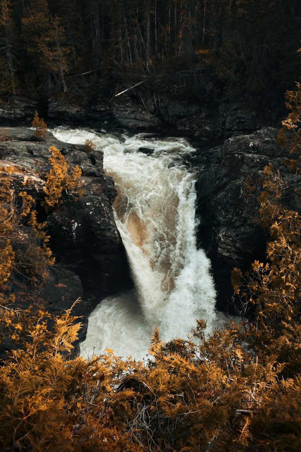 a waterfall in the middle of a forest