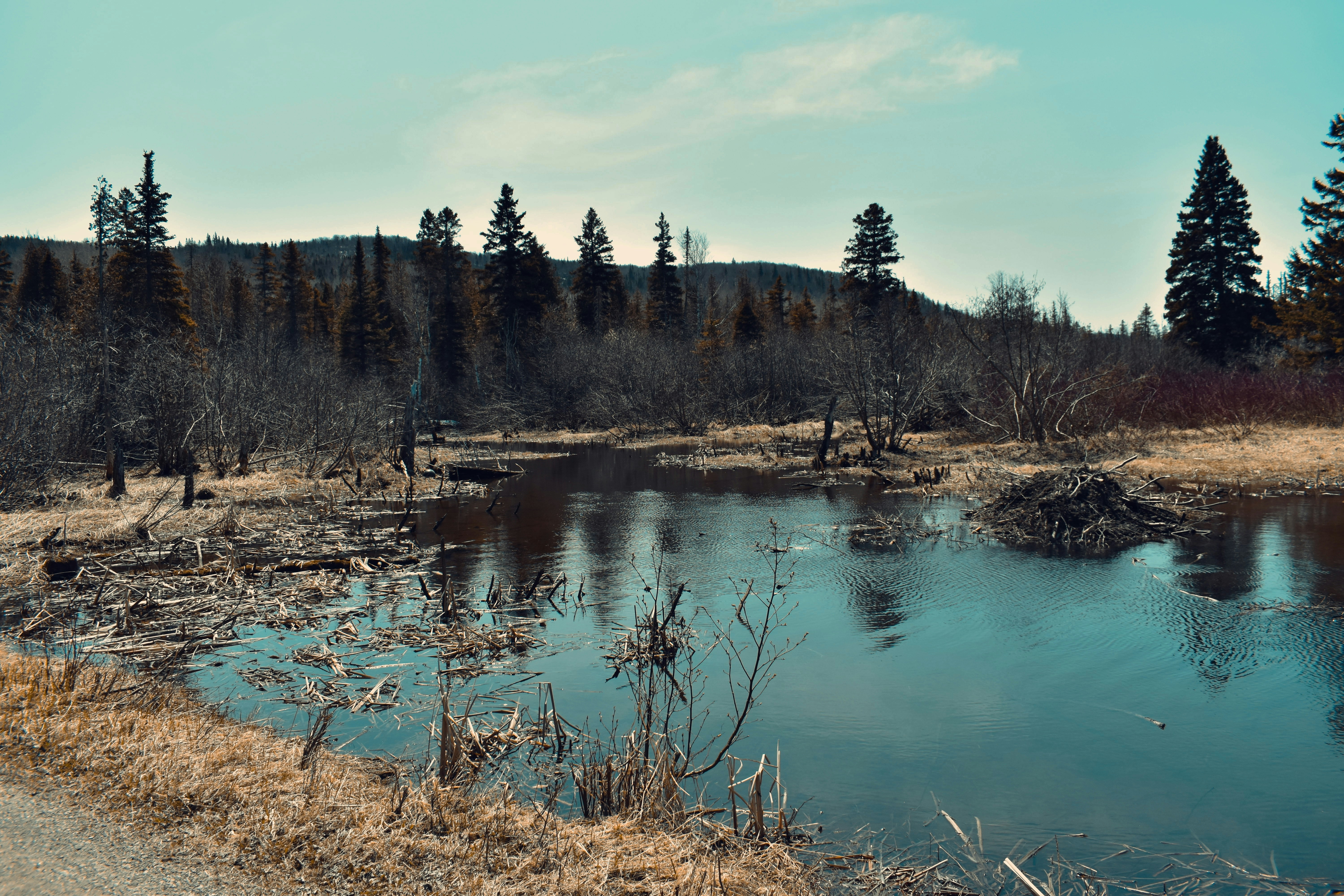 Photo by annnnnnnna8