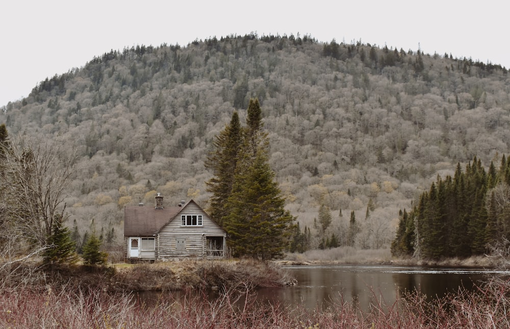a house sitting in the middle of a forest next to a lake