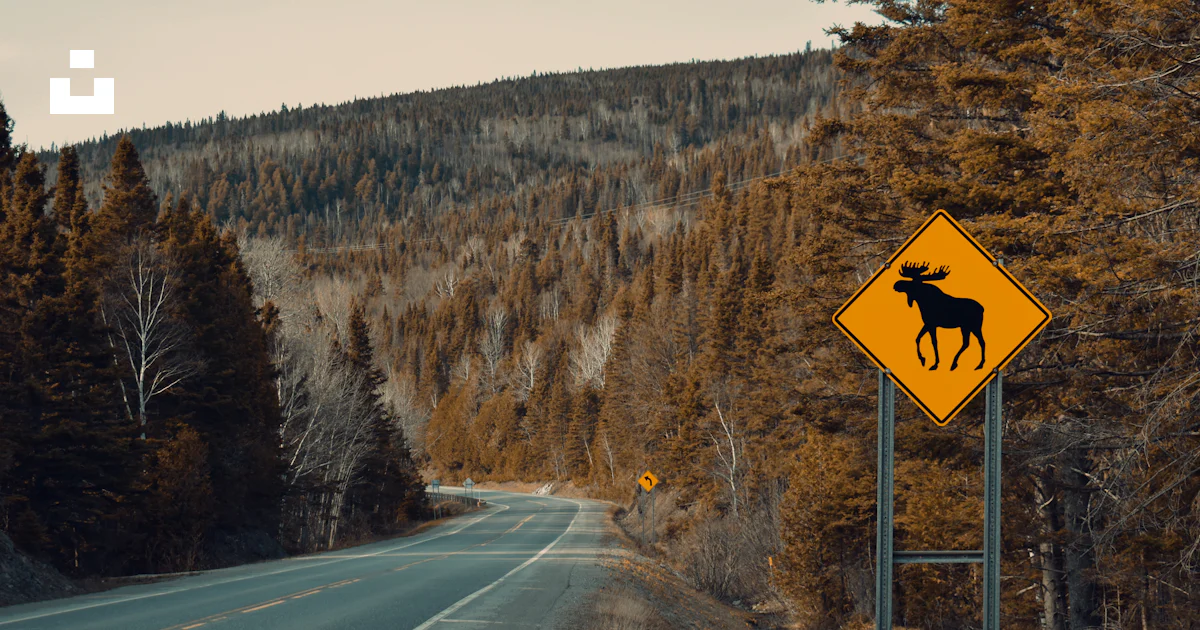 Moose Ridge Sign A moose crossing sign on the side of a road photo – Free Canada Image ...