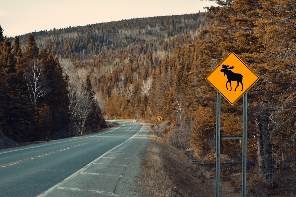 a moose crossing sign on the side of a road