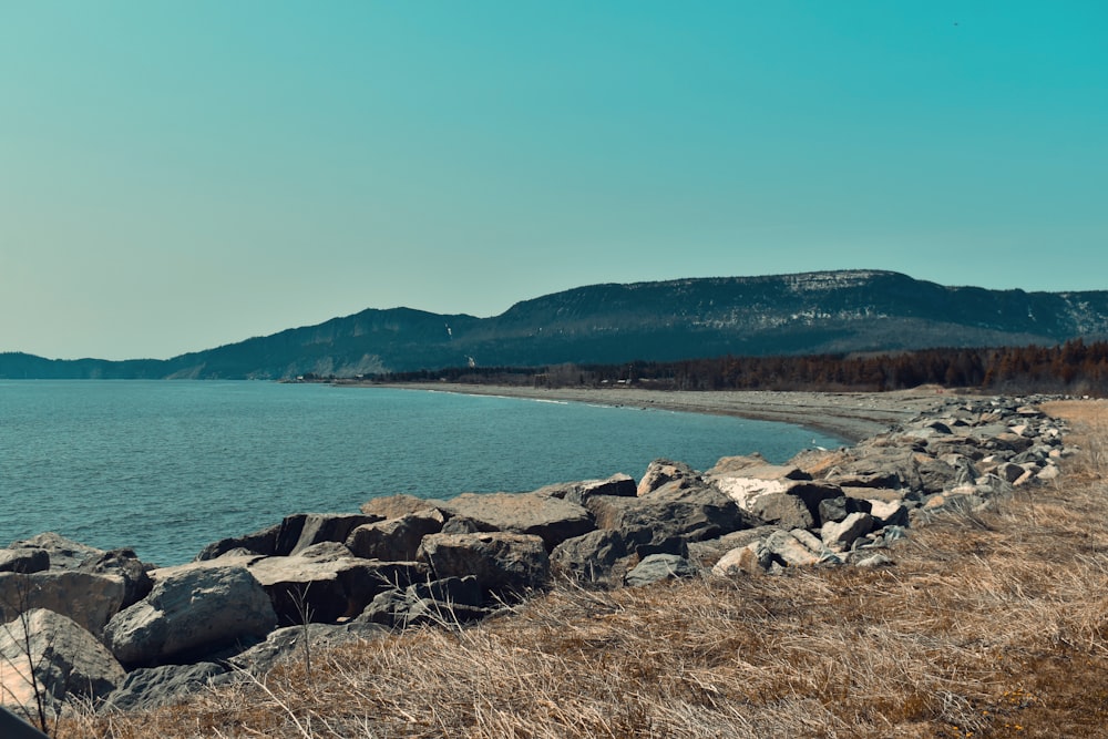 a large body of water sitting next to a rocky shore