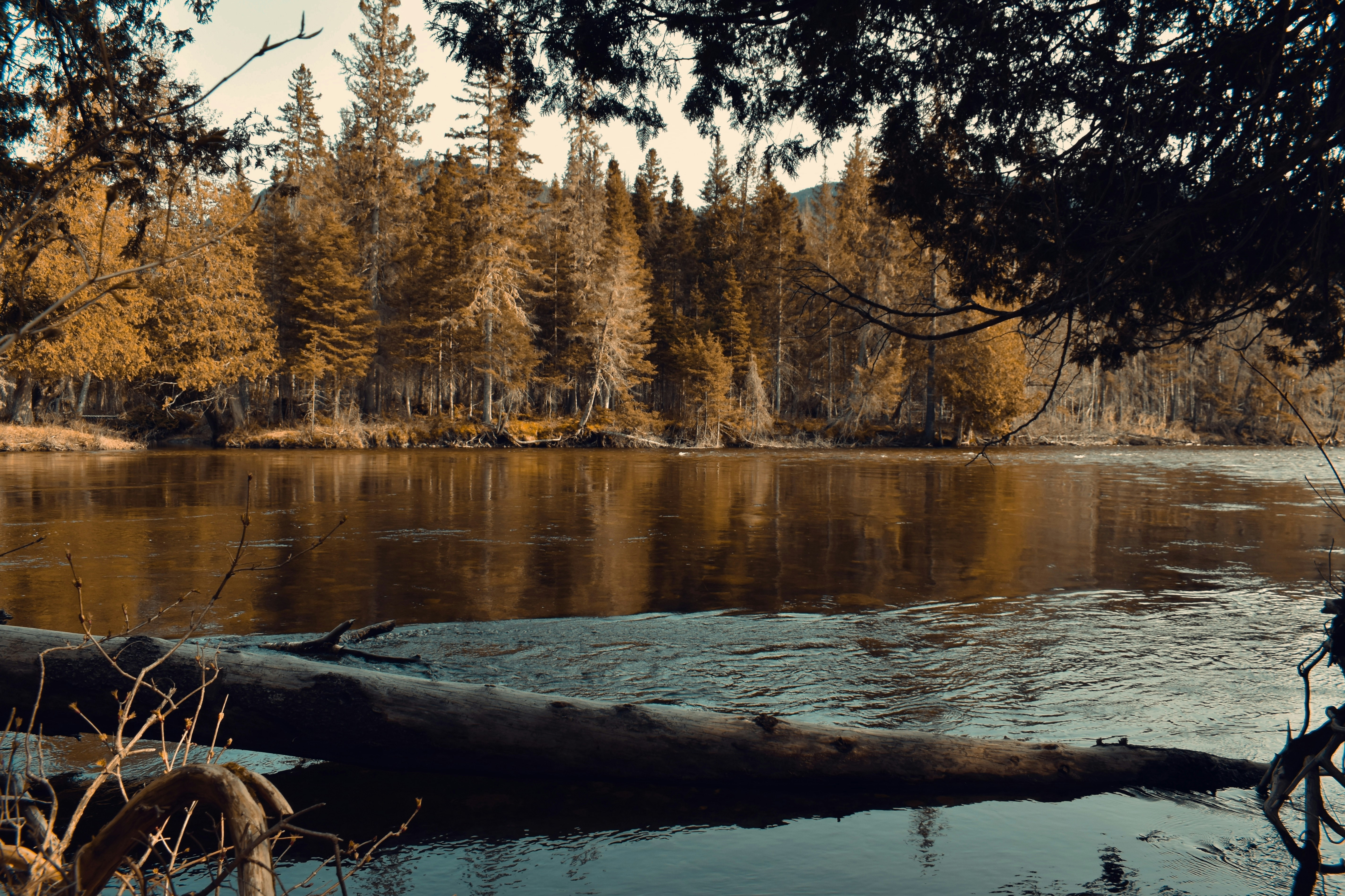 Photo by annnnnnnna8