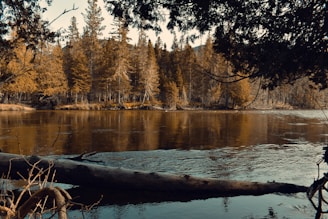 A peaceful moment of reflection by a river where a missionary writes in a journal.
