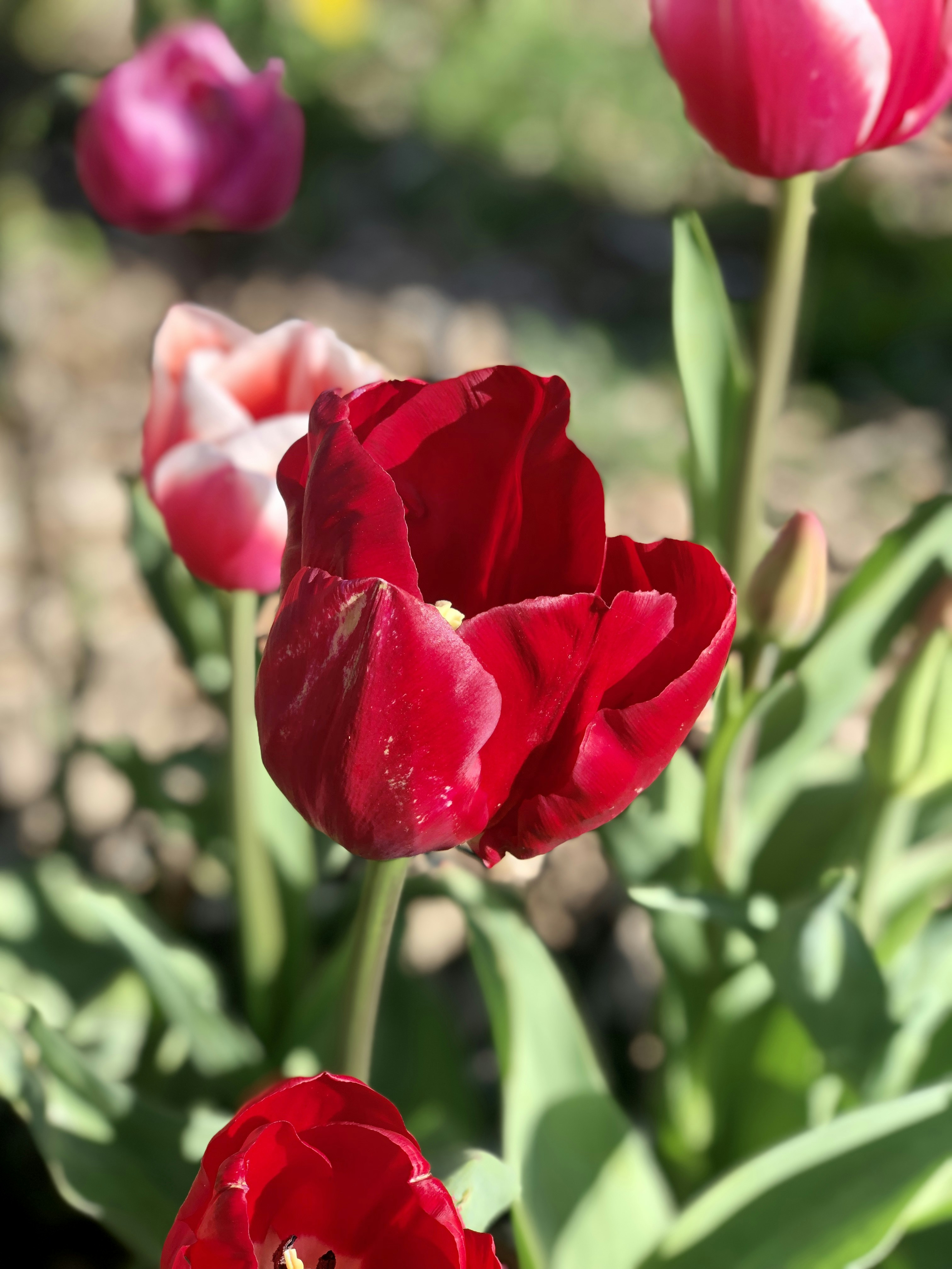 Photo by superphoebe