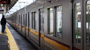A long passenger train is stationed at an indoor platform with a person standing nearby. The platform has a yellow safety line and there are overhead signs visible.