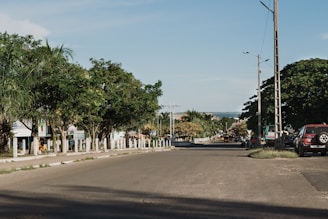 a red truck driving down a street next to trees