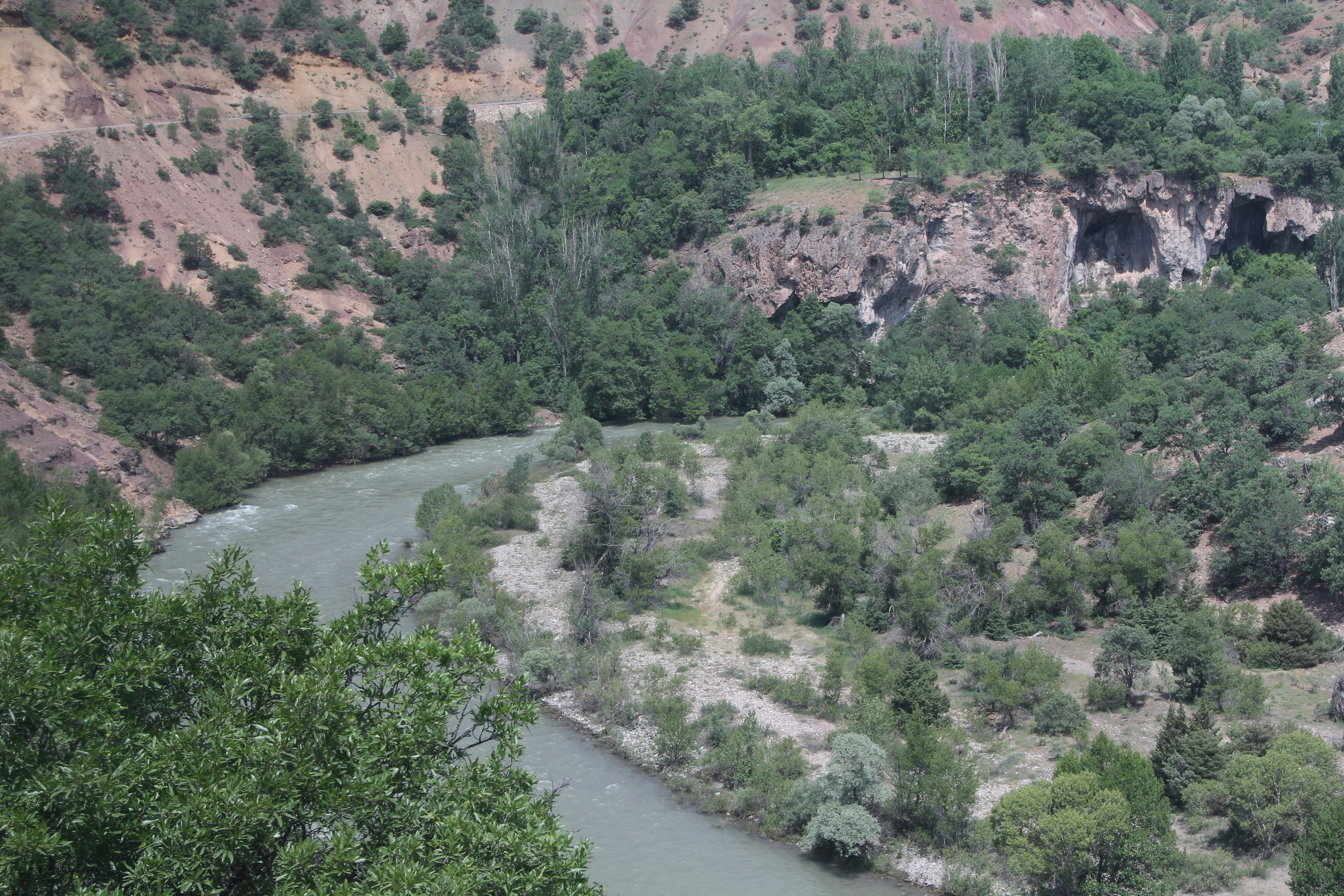 a river running through a lush green forest
