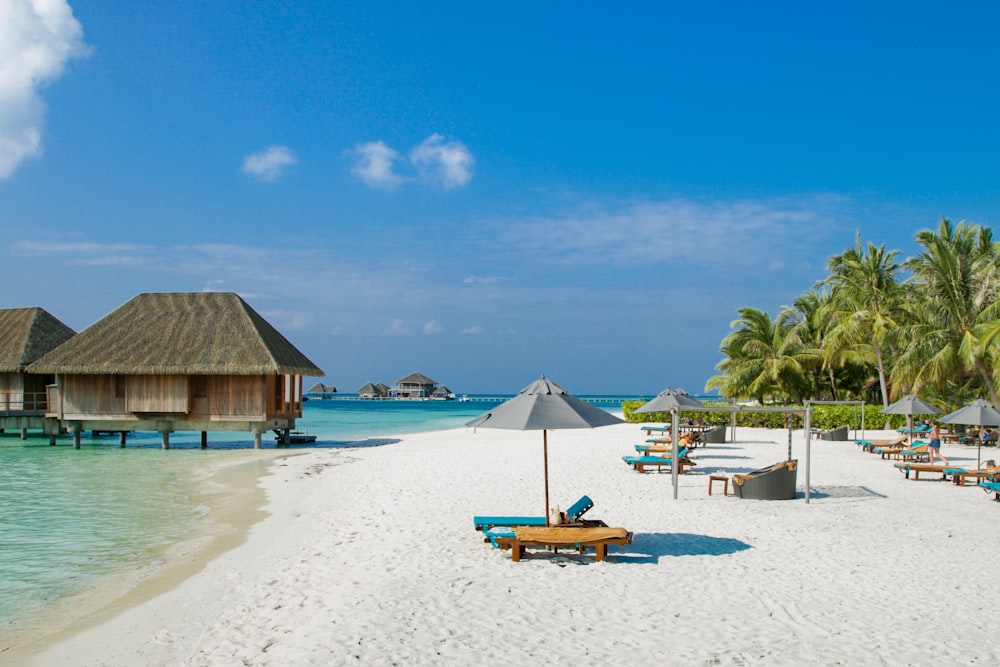 a sandy beach with lounge chairs and thatched umbrellas
