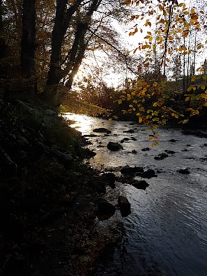 Sunlight dappling on a river flowing gently through Highland Perthshire, framed by autumnal trees.