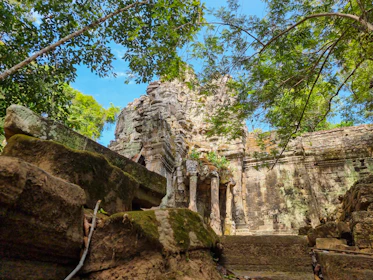 Ancient standing stones wrapped in moss with faint magical runes glowing softly.