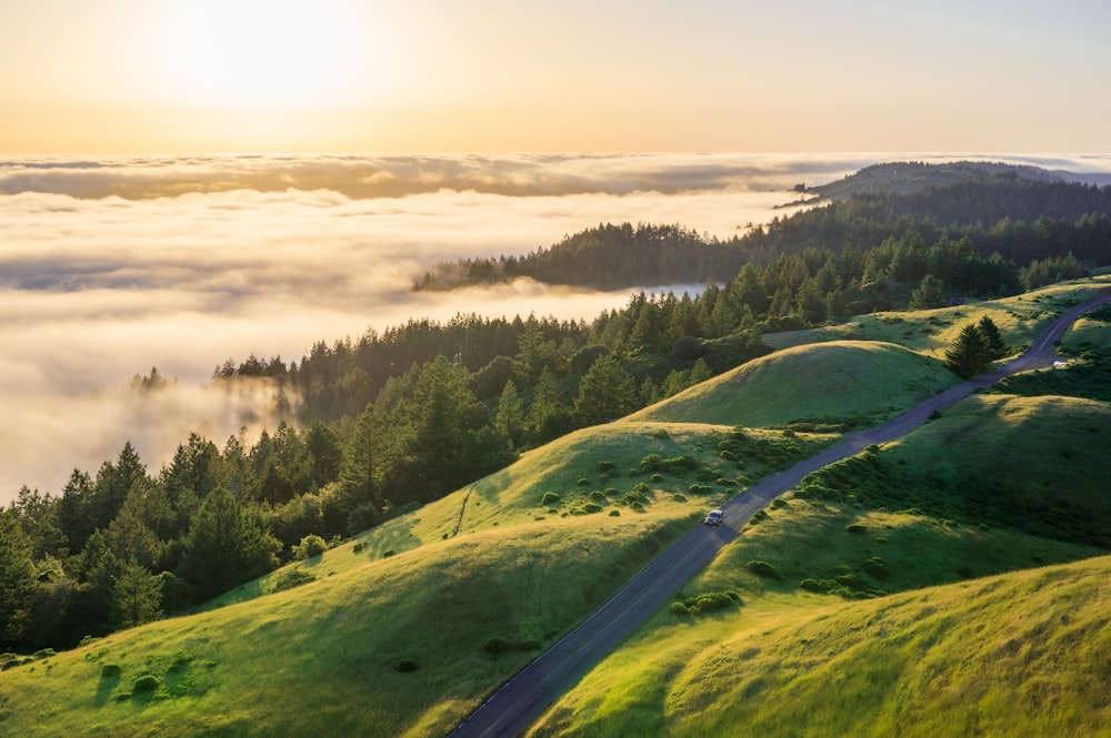 a road winding through a lush green hillside