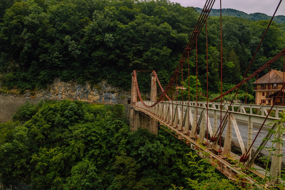 a bridge over a river surrounded by lush green trees