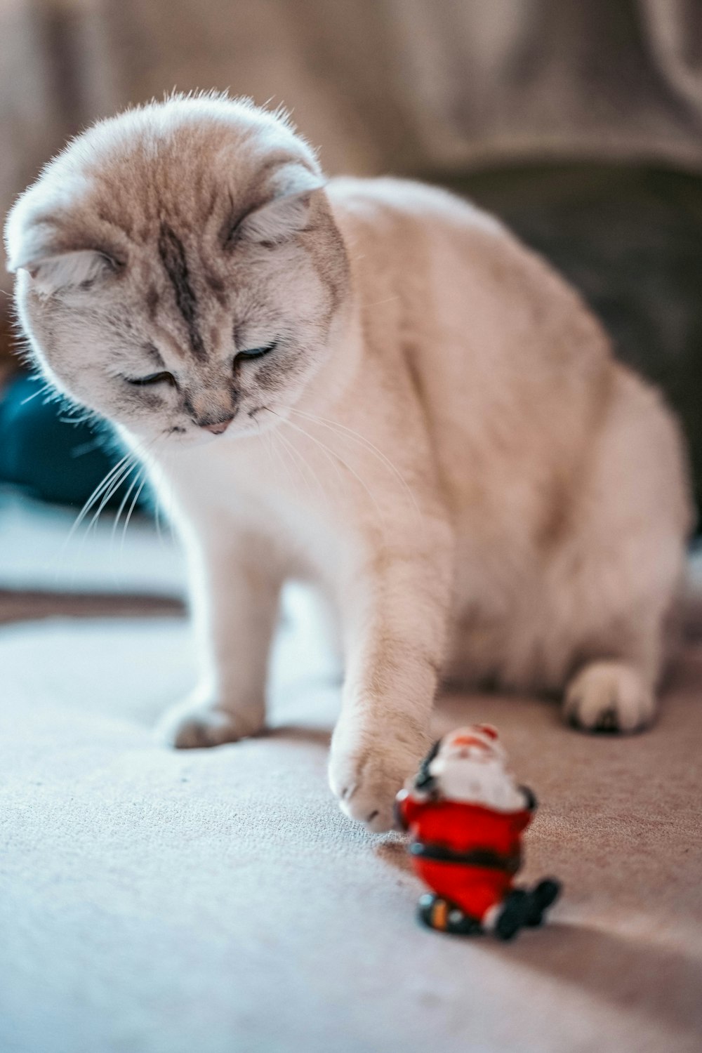 a cat playing with a toy car on the floor