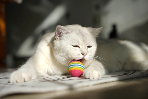 A joyful cat playing with colorful yarn balls in a bright, cozy room.