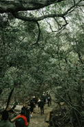 A group of women smiling and walking together in a lush green forest.