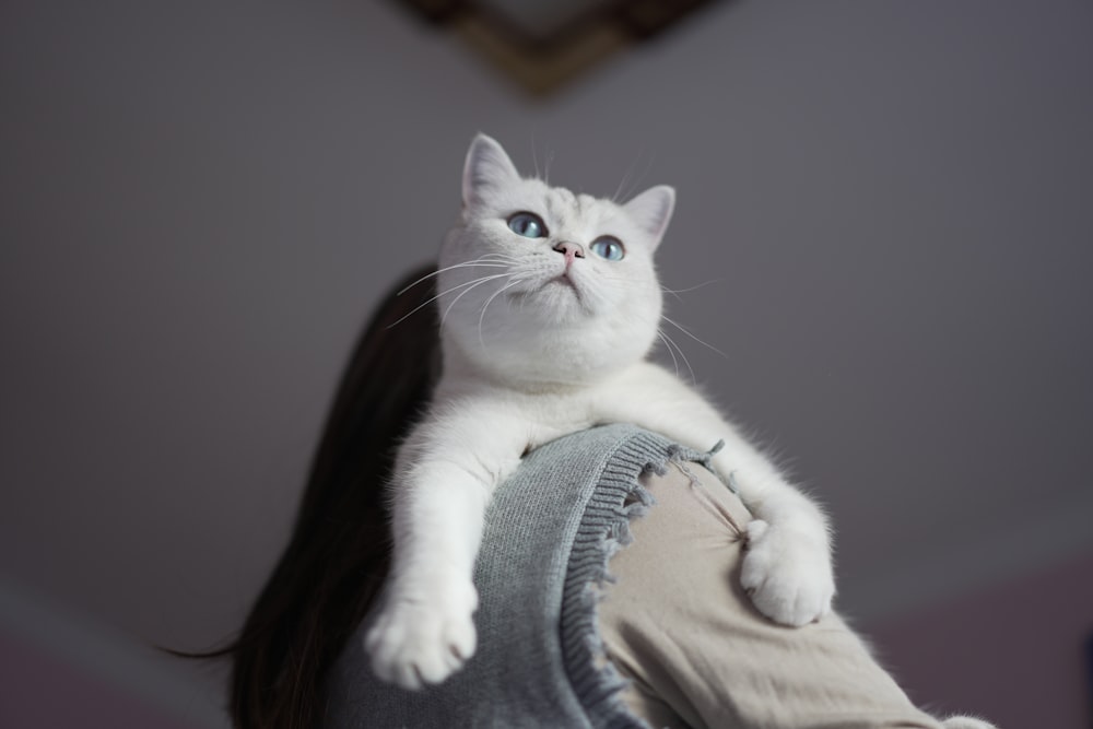 a white cat sitting on the back of a woman's shoulder
