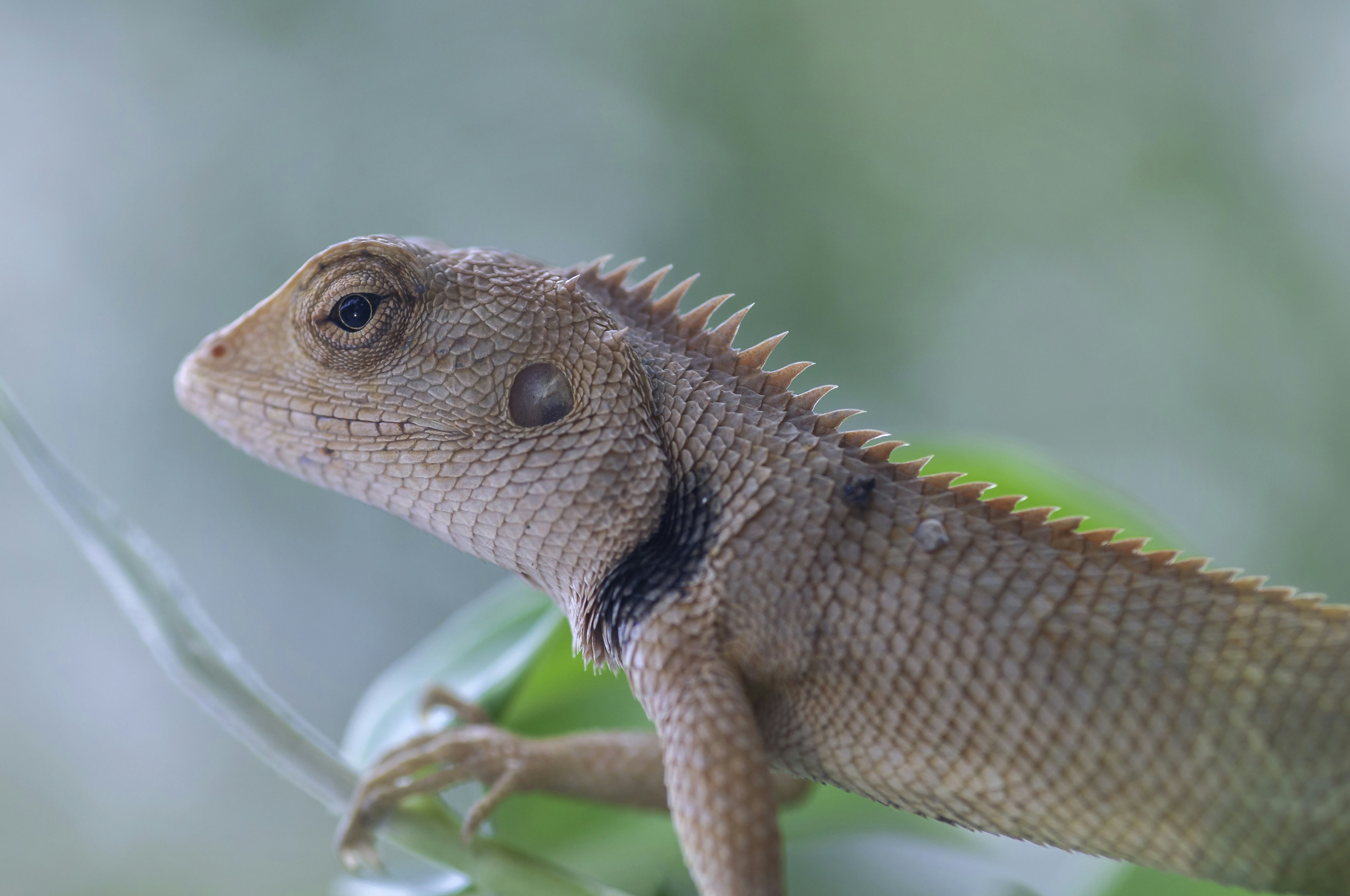 Photo by thom_oxford