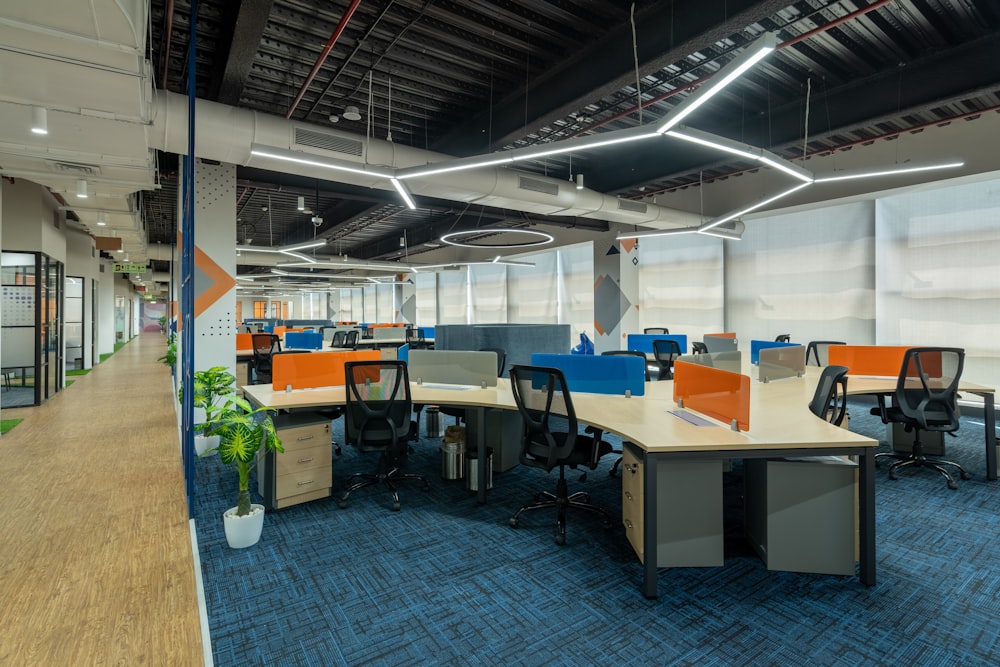 파란색 카펫이 깔린 넓은 개방형 사무실 공간