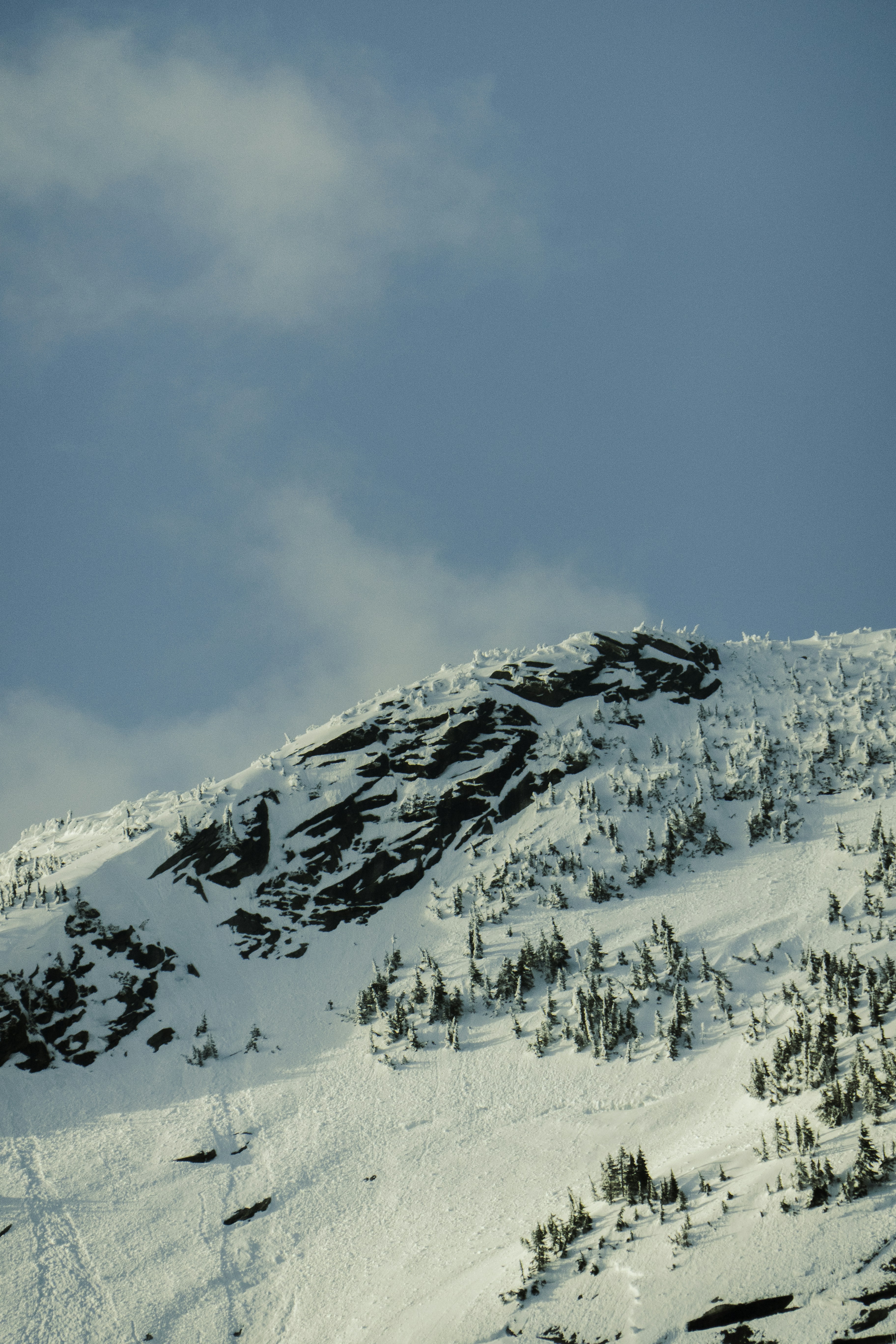 Photo by hollybooker15