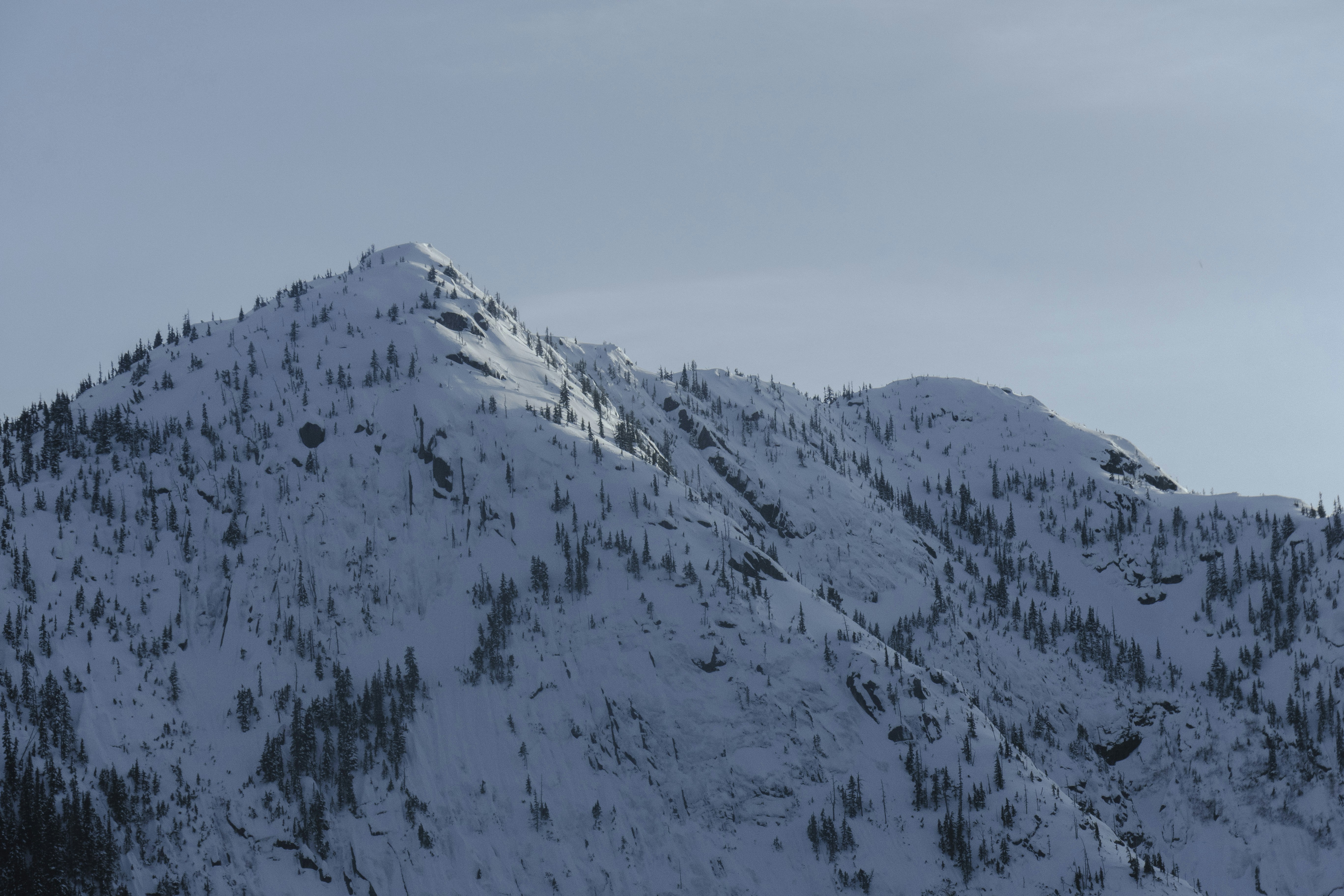 a snow covered mountain with trees on the side