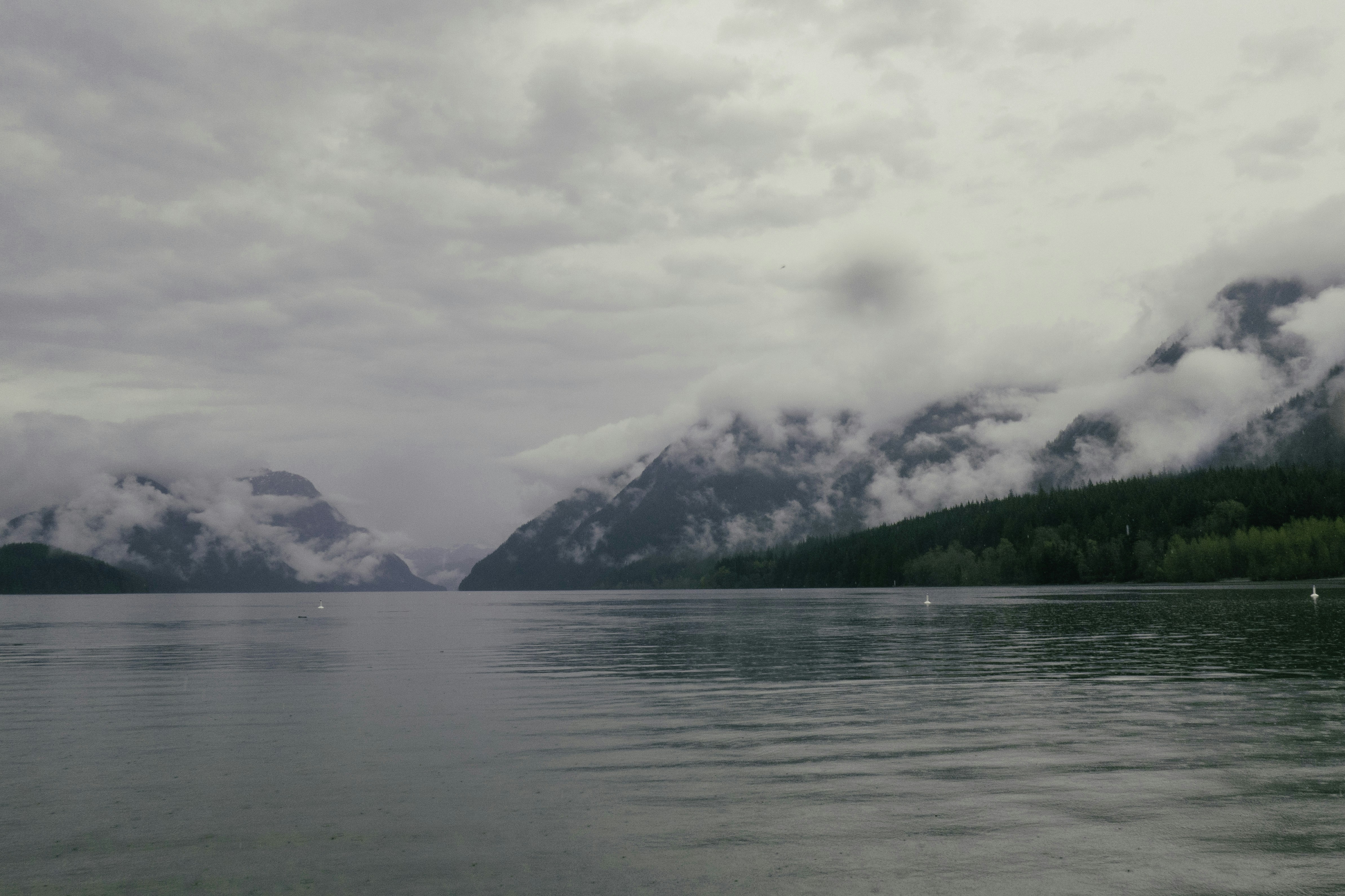 Photo by hollybooker15