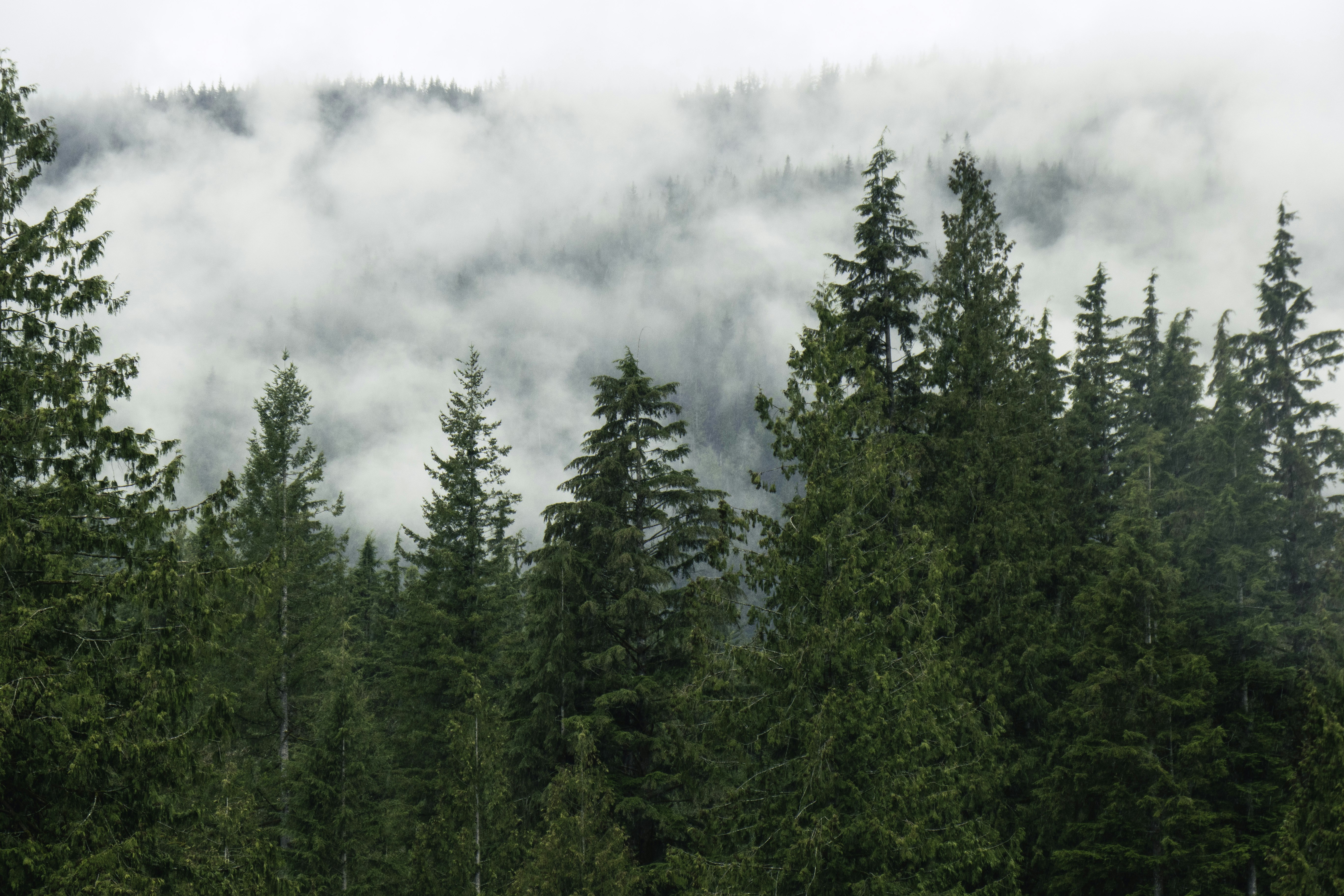 Photo by hollybooker15