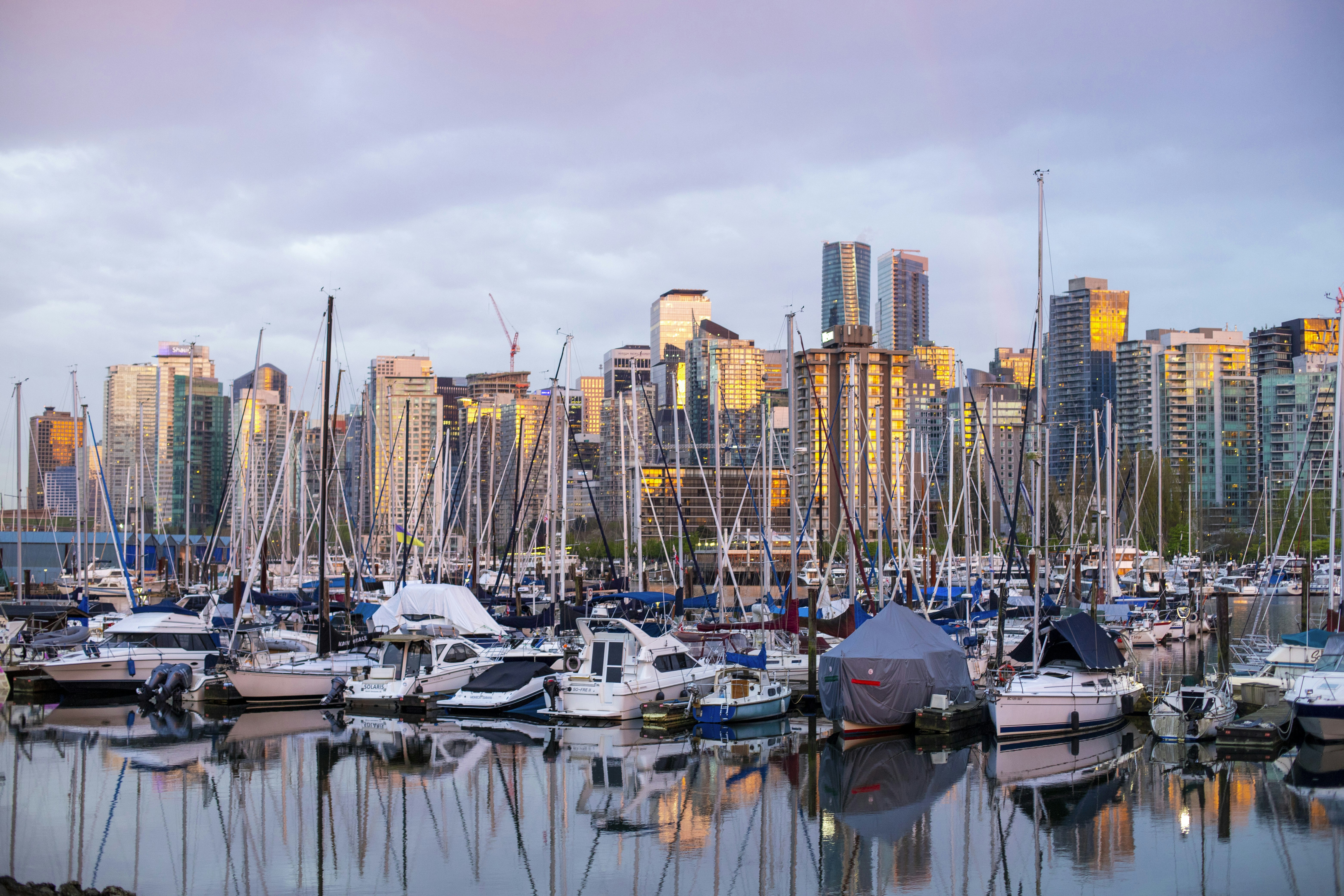 Photo by hollybooker15