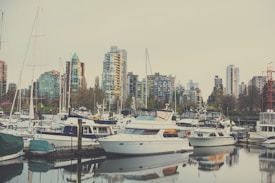 A marina filled with various boats is set against a backdrop of modern high-rise buildings. The water is calm, reflecting the boats and surrounding architecture. Trees and greenery are visible between the buildings, adding a natural element to the urban environment.