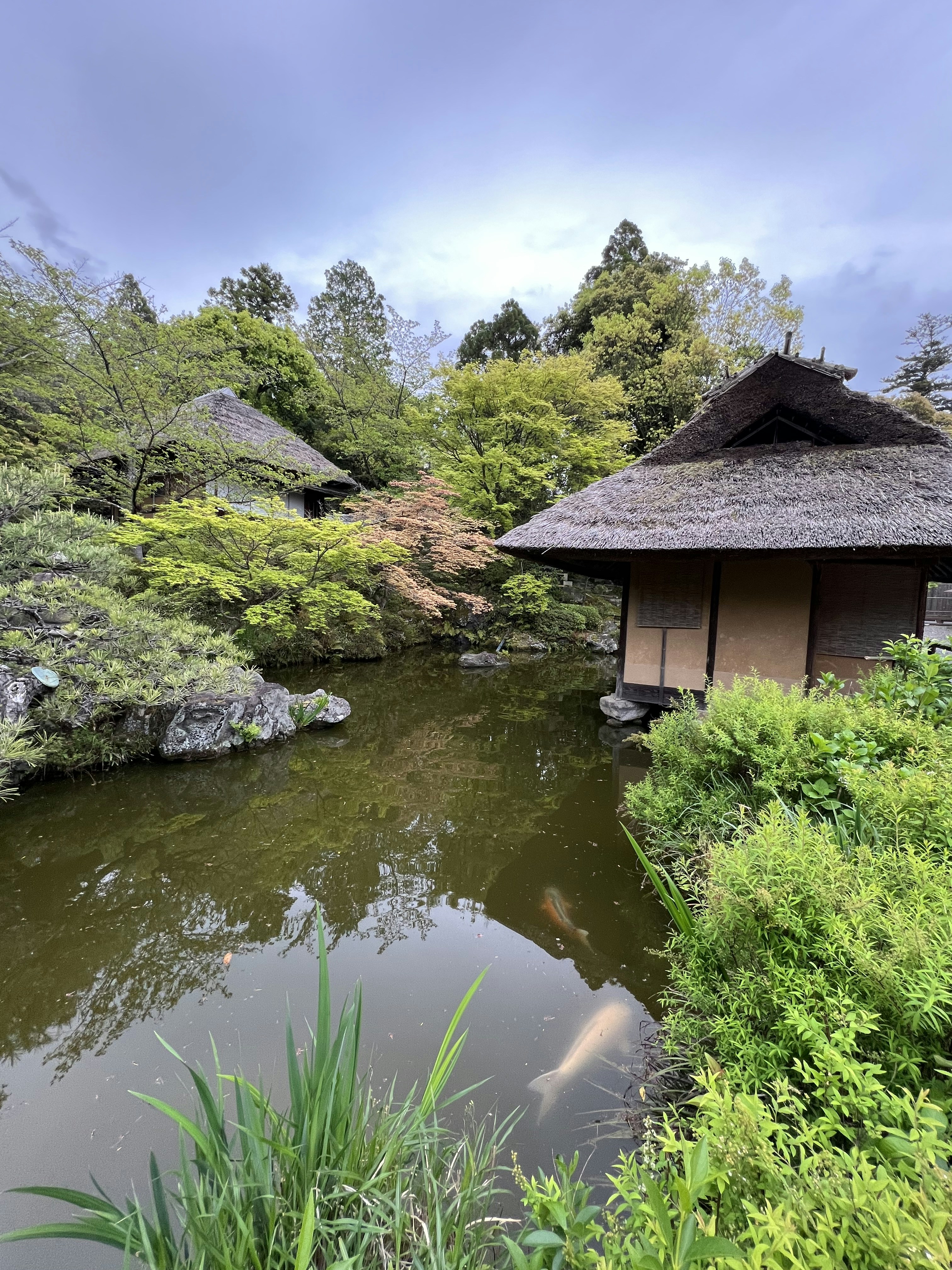 Photo by shpetimujkani