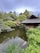 A serene garden scene with a tranquil pond surrounded by lush green foliage and traditional thatched-roof buildings. The pond's surface reflects the sky and trees, while koi fish swim leisurely below. The area is rich with various shades of green, complemented by some rocks and plants at the water's edge.