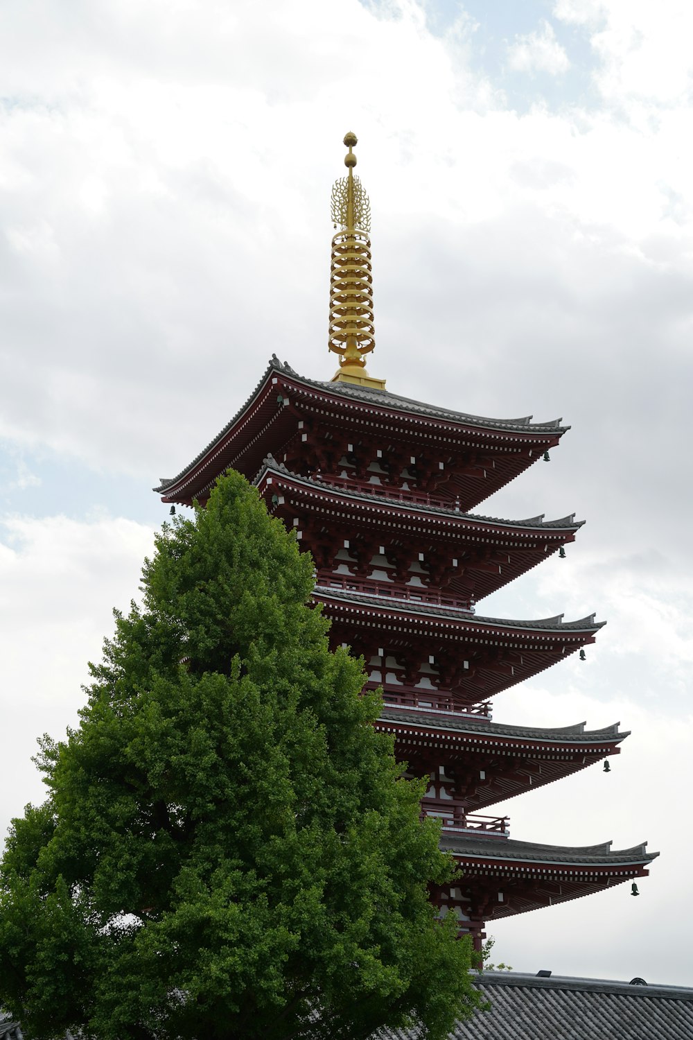 a tall building with a tall tower next to a tree