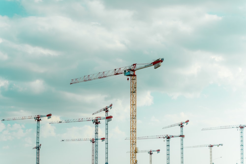 a group of cranes sitting next to each other on top of a field