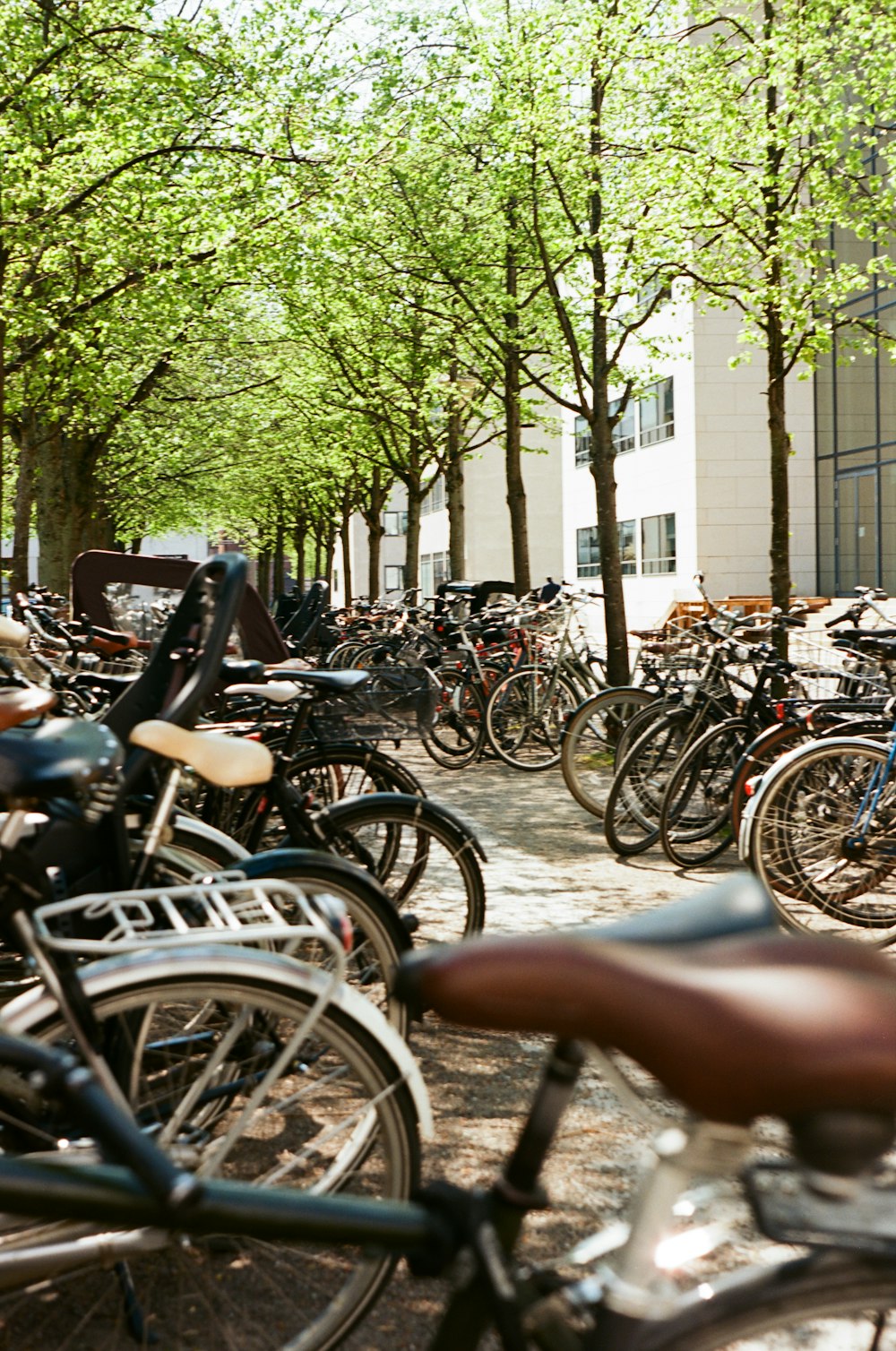 a bunch of bikes that are parked in the street