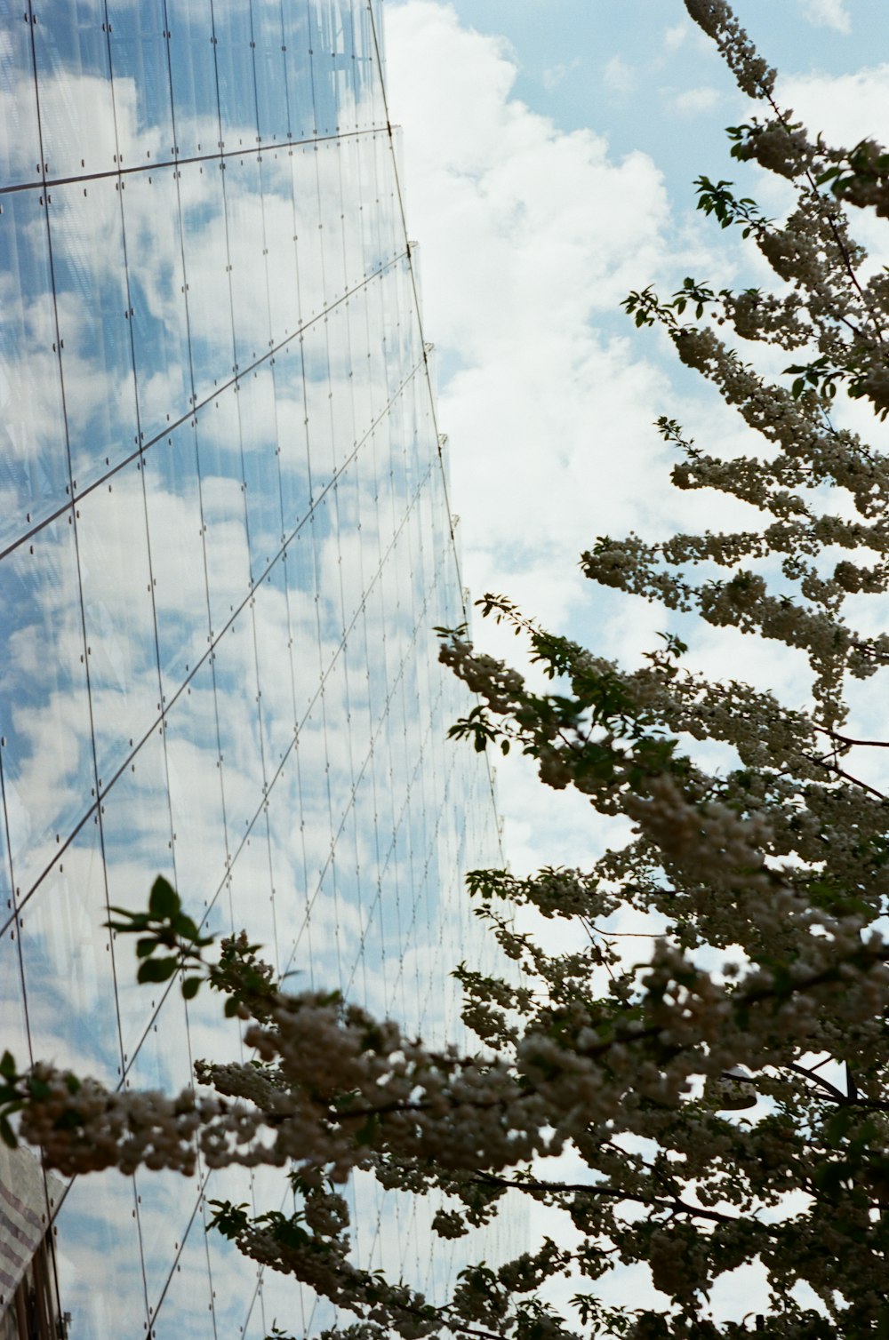 um edifício alto sentado ao lado de uma árvore alta