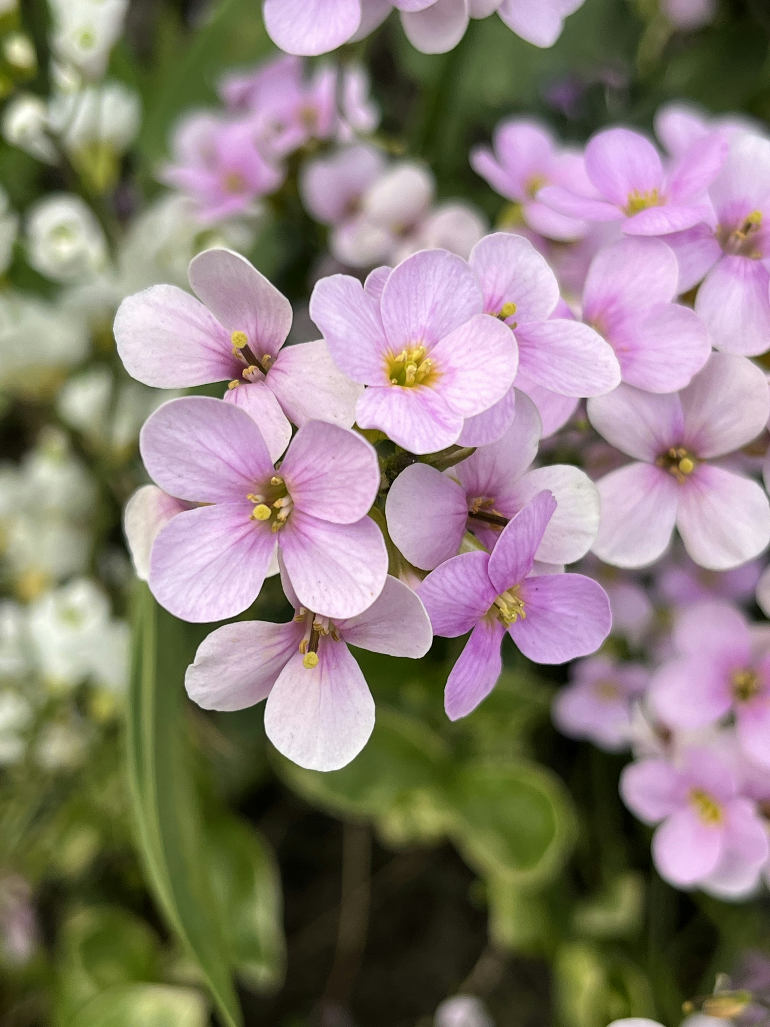 Photo by helen_zahrai