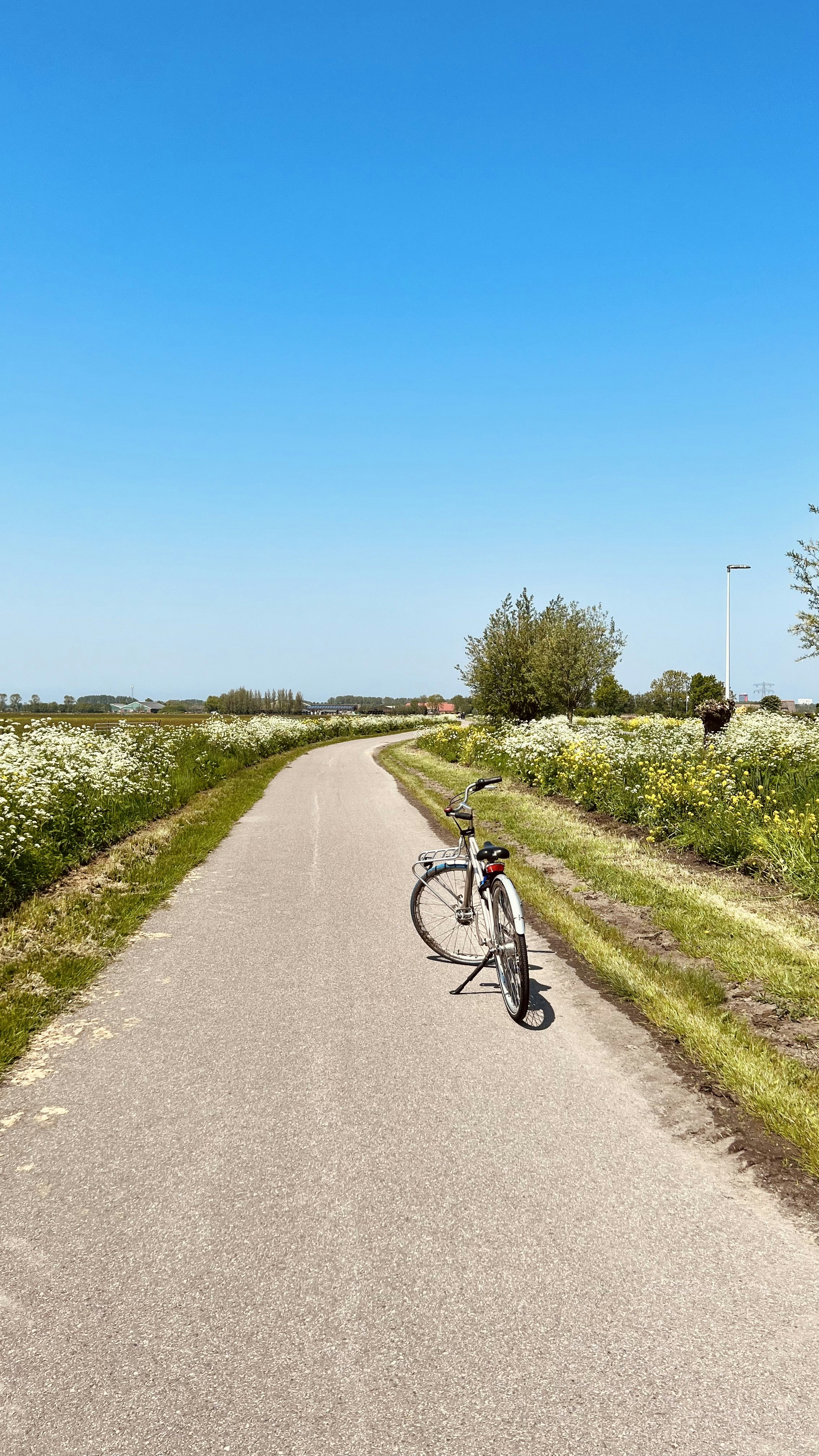 a bike parked on the side of a road