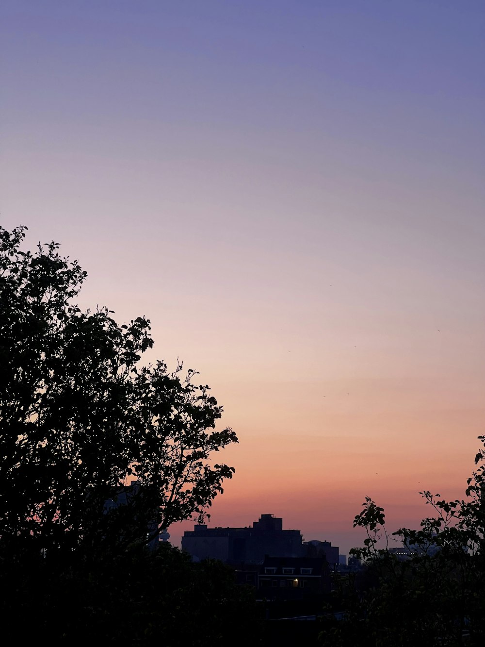 a plane is flying over a city at sunset