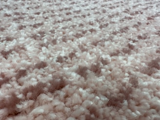 A close-up view of a fluffy, textured carpet with a blend of soft fibers. The surface is thick and plush, showcasing a uniform pattern with a slightly irregular arrangement that gives a sense of depth.