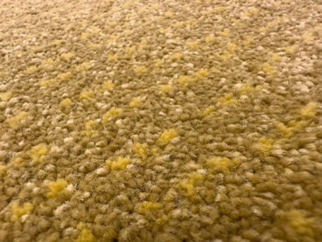 Close-up of a technician using a professional carpet cleaning machine on a beige carpet.