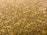 A close-up view of a textured carpet with a mix of beige, yellow, and brown hues. The surface appears soft and thick, showing distinct fibers and a slightly irregular pattern.