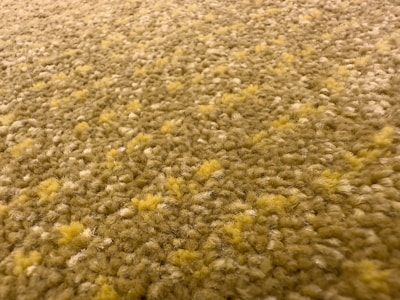Close-up of soft, textured carpet fibers in natural earth tones.