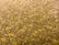 A close-up view of a textured carpet with a mix of beige, yellow, and brown hues. The surface appears soft and thick, showing distinct fibers and a slightly irregular pattern.