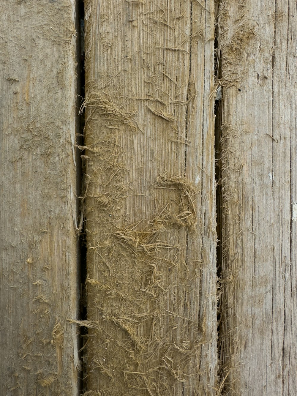 a bird is perched on a wooden post