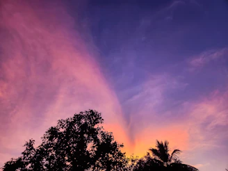 Magical twilight shot of a pastel gradient sky over a Disney resort pool with twinkling lights.