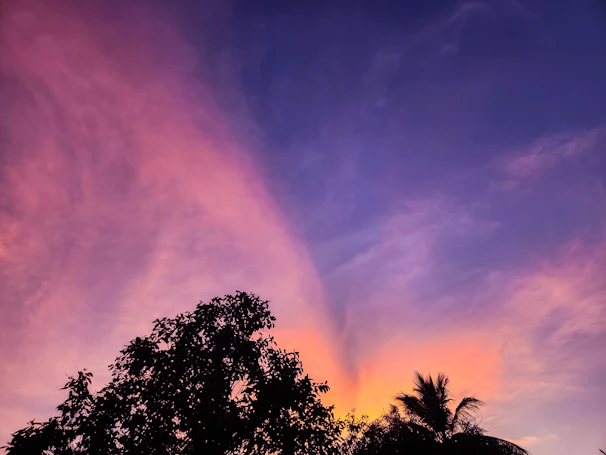 Magical twilight shot of a pastel gradient sky over a Disney resort pool with twinkling lights.