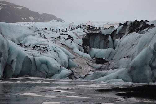A rugged icy terrain with large crevasses and formations, featuring a line of people hiking across the glacier. The scene is set in overcast conditions, with a backdrop of snow-covered mountains.