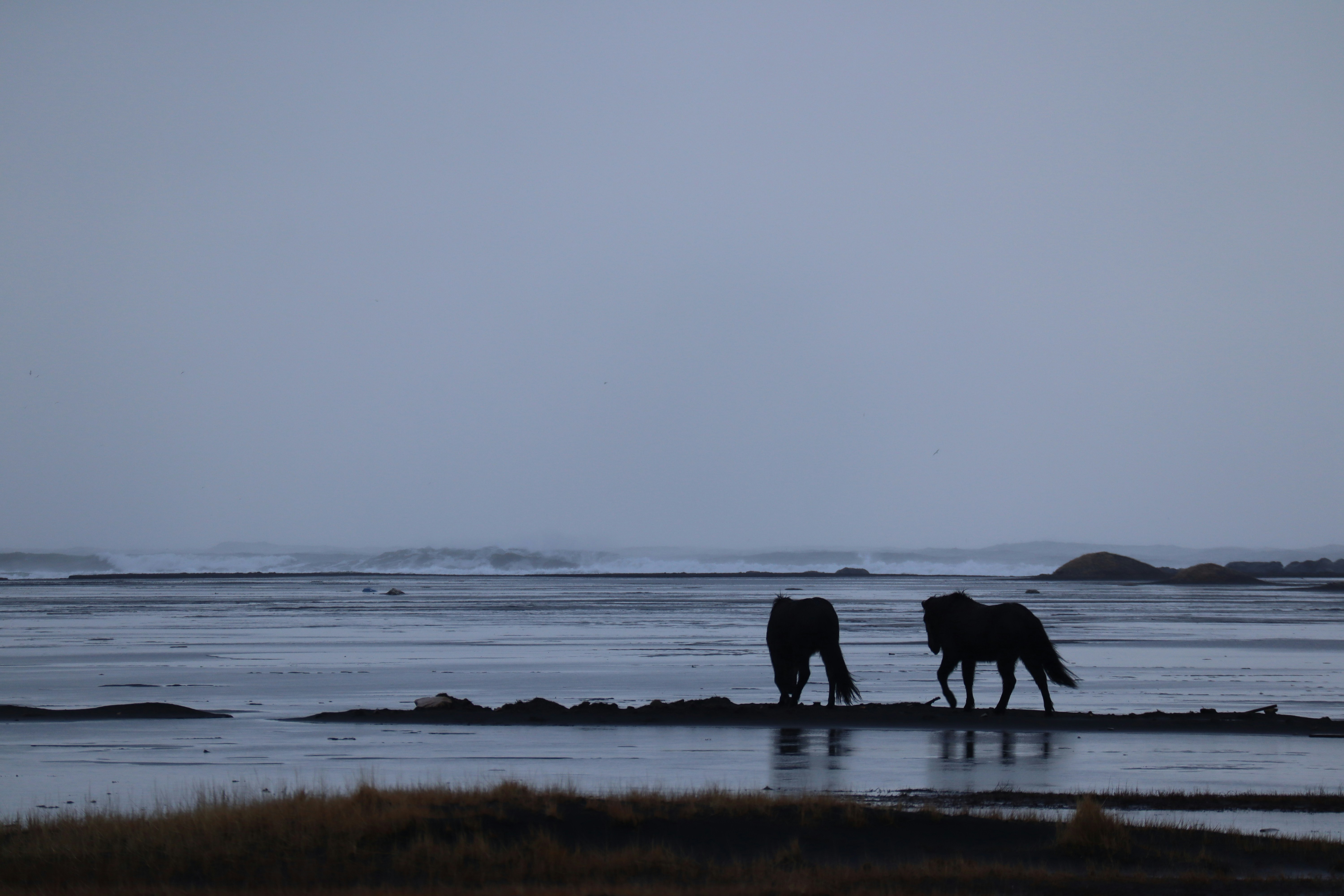 Photo by zefy789